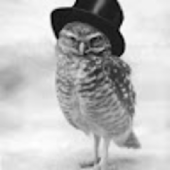 Meet your Posher, Sara - Picture 1 of 1